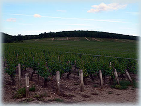 Domaine de Chantemerle, Boudin Père & Filles
