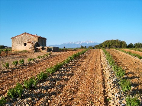 Domaine Serrelongue