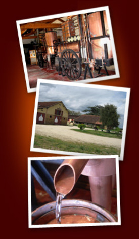 Armagnacs GARREAU