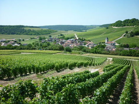 Champagne Rigollot