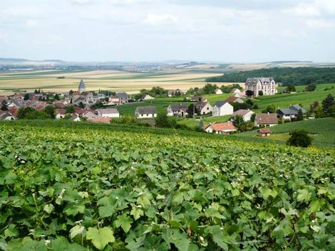 Champagne Ponsart Brochet