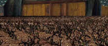 LACASSAGNE (DOMAINES)