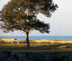 La forteresse d'Oléron