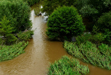 Le Thouet à Availles