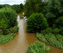 Le Thouet à Availles
