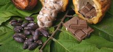 ILE DE RE CHOCOLATS