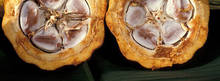 cacao