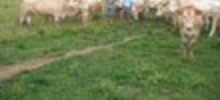 Les producteurs fermiers