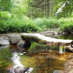 La mystérieuse forêt d'Huelgoat