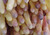 asperges