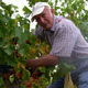 Domaine Aubrespy