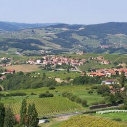 Les vignes du Bojolais