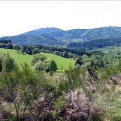 Le Forez