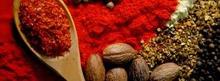 Producteurs du monde