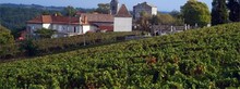 DOMAINE DU BARRY