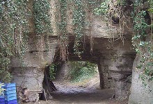 Champignonnière Les Carrières