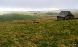 un paysage de l'Aubrac