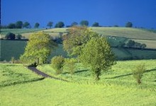 un paysage du Ségala