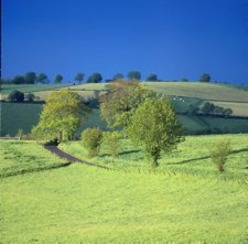 un paysage du Ségala