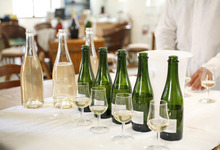 champagne Tanneux-Mahy