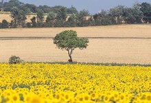La Plaine vendéenne