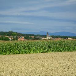 L'Ochsenfeld