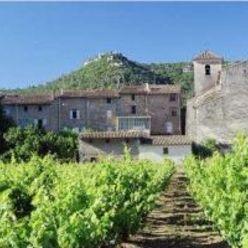 Le Brignolais, le Centre Var et Haut Var