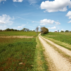 paysage du Bazadais