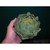 artichaut gros vert de Laon