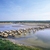 agneaux de pré salé de la baie de Somme