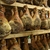 jambon sec d'Ardennes