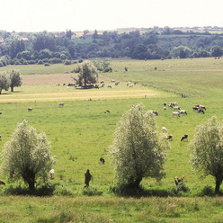 La Thiérache