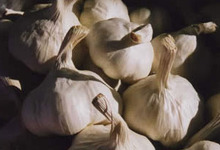 Gaec Du Blanc