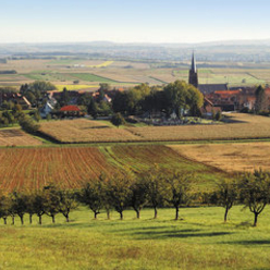 Le pays de Hanau