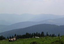 Les Hautes Vosges alsaciennes
