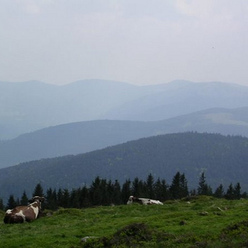 Les Hautes Vosges alsaciennes