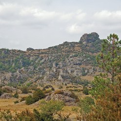 Le Causse du Larzac