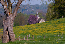 Le Sundgau