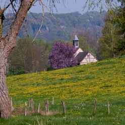 Le Sundgau