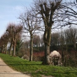 esplanade du château de Dammartin-en-Goele