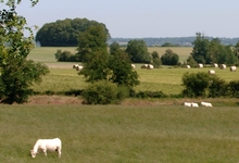 Le bocage bressuirais