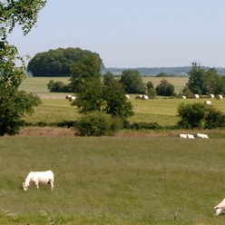 Le bocage bressuirais