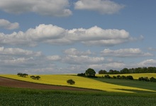 Le pays de la Nied