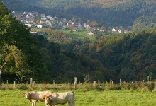 Le pays de Sarrebourg