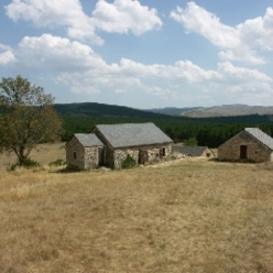 Le Causse Méjean