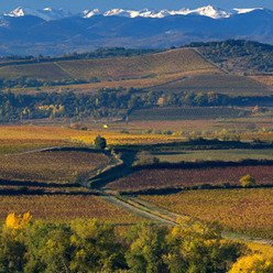 Limoux