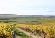 Chablis