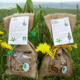 AGPlantes, gentiane d'Auvergne