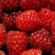 Coulis de framboise