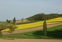 La Limagne bourbonnaise